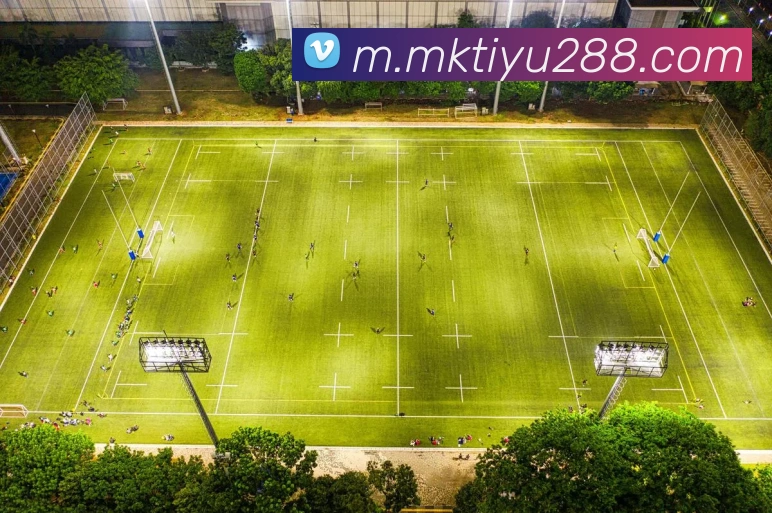 MK体育全站App